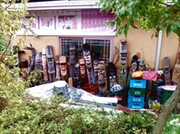Вот они, прямо толпой ходят